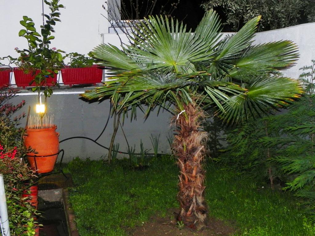 Villa Anna Limenas  Bagian luar foto